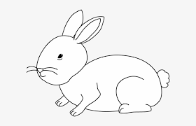 Maybe you would like to learn more about one of these? White Rabbit Clipart Bunny Rabbit Black And White Png Image Transparent Png Free Download On Seekpng