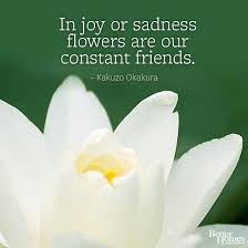Flower Quotes Flower Quotes Garden Quotes Short Flower Quotes