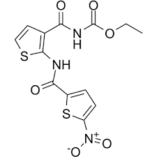 East arkansas community college, forrest city, arkansas, united states. Eacc Autophagy Inhibitor Medchemexpress