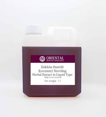 Image result for Zanthoxylum lindense