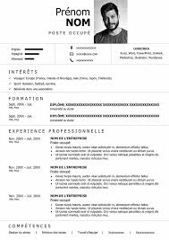 Exemple De Cv Au Format Word A Telecharger Cv Gratuit