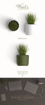 Mock Up Add On Plant Qeaql Disenos De Unas Diseno Grafico Graficos