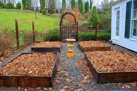 The researchers soaked oak leaves in water overnight to obtain oak leaf extract. How To Make And Use Leaf Mold Kevin Lee Jacobs