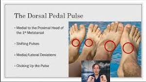 Pulse Assessment In Reflexology - Youtube