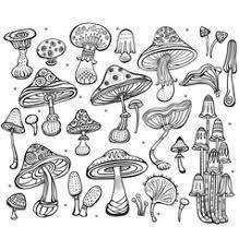 Looking for the best wallpapers? Creative Trippy Mushroom Drawing Novocom Top