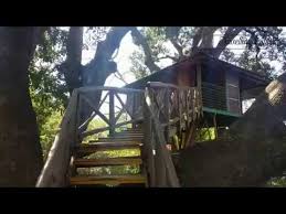 Dandeli Tree House Youtube Choose from resorts in dandeli which follows safety norms hygienic rooms, trained staff, sanitized indoors with free wifi free breakfast free cancellation.
