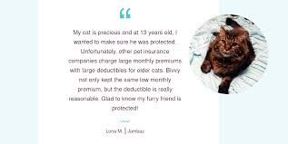 Pet insurance provided by pets best helps provide peace of mind to pet parents by offering plans that reimburse up to 90% of the cost of eligible veterinary treatments.1 get flexible accident, illness, and routine care coverage that you can customize to your pet and your budget. Bivvy Pet Insurance 2021 Compare Quotes