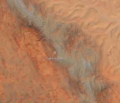 Start date jul 23, 2020. Cactus Den Kenshi Wiki Fandom