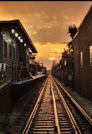 Image result for Ravenswood Brown 1931 Nash