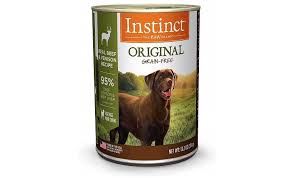 Let this mixture simmer for about 15 minutes. 6 Best Foods For Diabetic Dogs Diabeticdogfood