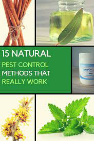 Used in many over the counter bug repellents and sprays. 15 Organic Pest Control Options That Really Work
