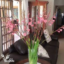 Watsonia Are Indigenous To The Cape And Flower In Spring Time Exclusive To Woolworths Flowers Beautiful Flowers Spring Time