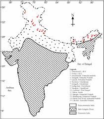 In the context of the spanish colonial empire, a peninsular was a spaniard born in spain residing in the new world, spanish east indies, or spanish guinea. The Current Condition Of Peninsular India Utkal Today