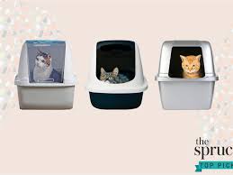 Check spelling or type a new query. The 9 Best Cat Litter Boxes Of 2021