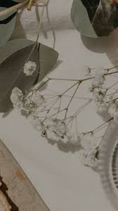 Ruth's Loyalty to Naomi