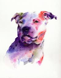 Staffordshire Bull Terrier In Watercolour Painted By Artist Jane Davies Available As An Limited Edition Prin Watercolor Dog Dog Watercolor Painting Animal Art