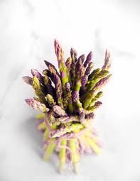 Image result for Asparagus krebsianus