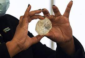 We did not find results for: Botswana Says Found World S Third Largest Diamond Lifestyle The Jakarta Post