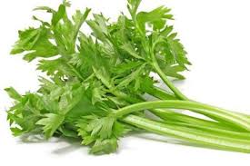 Entdecke rezepte, einrichtungsideen, stilinterpretationen und andere ideen zum ausprobieren. Manfaat Dan Dampak Negatif Jus Seledri Untuk Kesehatan Bisa Menurunkan Berat Badan