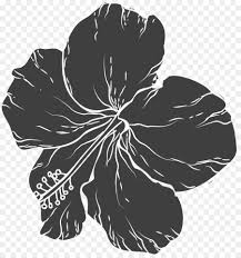 Koleksi gambar mobil untuk di warnai posted on 30 november 2018. Hitam Dan Putih Bunga Desainer Gambar Png