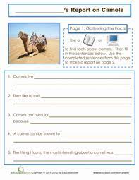 Camels have been domesticated by humans for thousands of years. Pin On Schooling The Chirrens