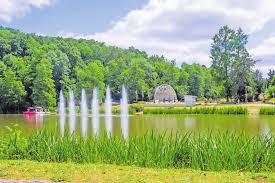 Some of it is with my new… 60 Jahre Deutsch Franzosischer Garten Eine Entdeckungstour Wirtschaft Handel Saarbrucker Zeitung