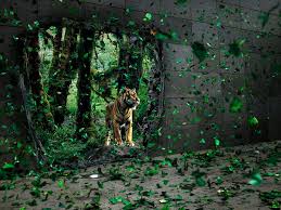 Check spelling or type a new query. High Resolution Fierce Animal Wallpaper High Definition High Resolution Hd Wallpapers High Definition High Resolution Hd Wallpapers