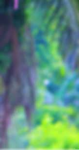 Blur Background Change Image Nature Blur Background Simple Background Images Iphone Background Images Photography Studio Background