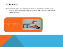 ppt unit 7 fitness testing for sport