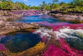 16 datos curiosos sobre el mundo que parecen absurdos pero que son  verdaderos - AZERTAC