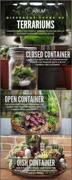 Different Types Of Terrariums Terrariums Dishterrariums Diy Succulent Terrarium Plants Succulent Terrarium