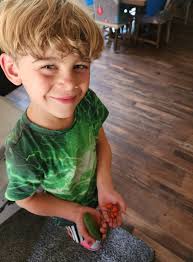 Loomis Community Post