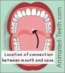 We work hard to protect your security and privacy. How To Tell If You Have Bad Breath 6 Self Tests For Halitosis