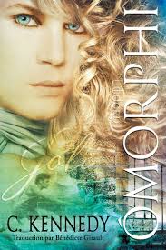 Series and Collections