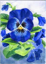 Blue Pansy Aceo Original Art Watercolor Flower Painting Watercolor Flowers Paintings Violet Artwork Watercolor Flowers
