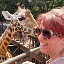 What are some affordable ski resorts in Colorado?