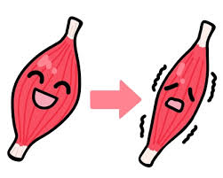 筋肉 減少イラスト｜無料イラスト・フリー素材なら「イラストAC」