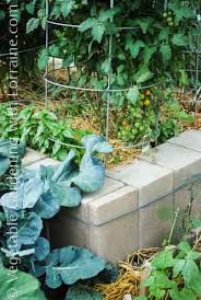 Vacant lots, behind barns, and wherever else. Raised Bed Garden Designs