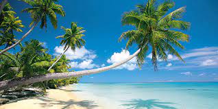 Gambar pantai keren dengan pohon kelapa. 19 Gambar Pemandangan Pantai Terindah Gambar Pemandangan Keren