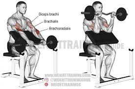 Ez Bar Reverse Preacher Curl Exercise Instructions And Video Preacher Curls Arm Workout Workout Guide