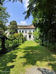 Image result for Vigna kirkii