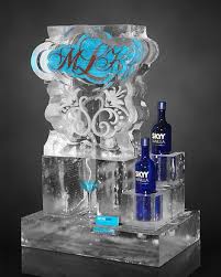 looking for an ice luge where can i