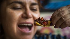 A SIDE OF GRASSHOPPERS?: Beaches Mexican restaurant offers a traditional  source of protein