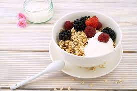 Yogurt Basics 101 How Long Can Yogurt Sit Out Yogurt Nerd