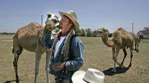 I have random people on my friends list/armada wandering around my dorm from time to time and never had to 'accept' a request. Texas Camel Corps The Spokesman Review