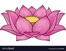 Lotus Flower Download A Free Preview Or High Quality Adobe Illustrator Ai Eps Pdf And Flower Drawing Images Lotus Flower Drawing Lotus Flower Tattoo Design