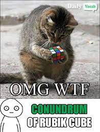 Conundrum Meaning In Hindi With Picture Funny Animal Pictures Funny Animals Cats