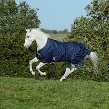 Sie benötigen meist eine regendecke für pferde mit 125 cm länge. Bucas Freedom Turnout 150g Pony Decke Kaufen Horze De
