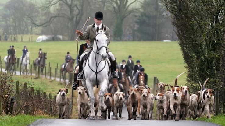 Annual hunt goes ahead as Scottish Greens renew call for outright ban | STV News