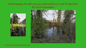 Gartendusche Test 2019 Die Besten 5 Gartenduschen Im Vergleich